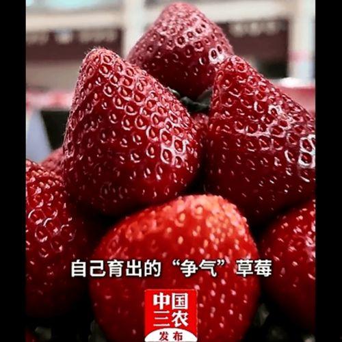 国产草莓在线